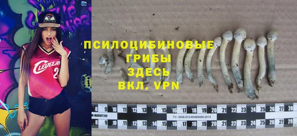 дживик Арсеньев