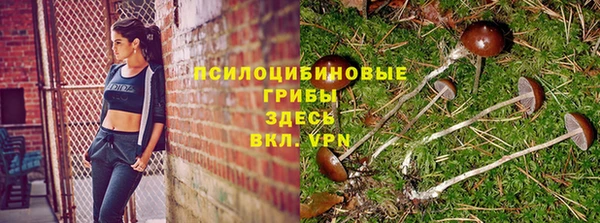 молекула духа Армянск
